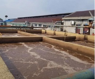 出水氨氮大于進水氨氮，怎么回事？