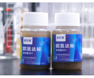 生化系統崩潰，氨氮超標，我該怎么辦?